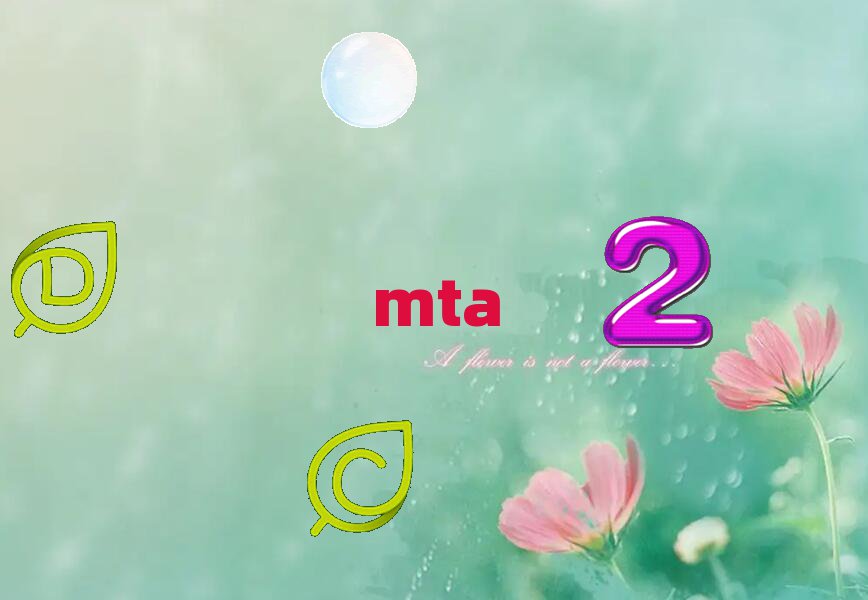 2019ѧMTAʱ