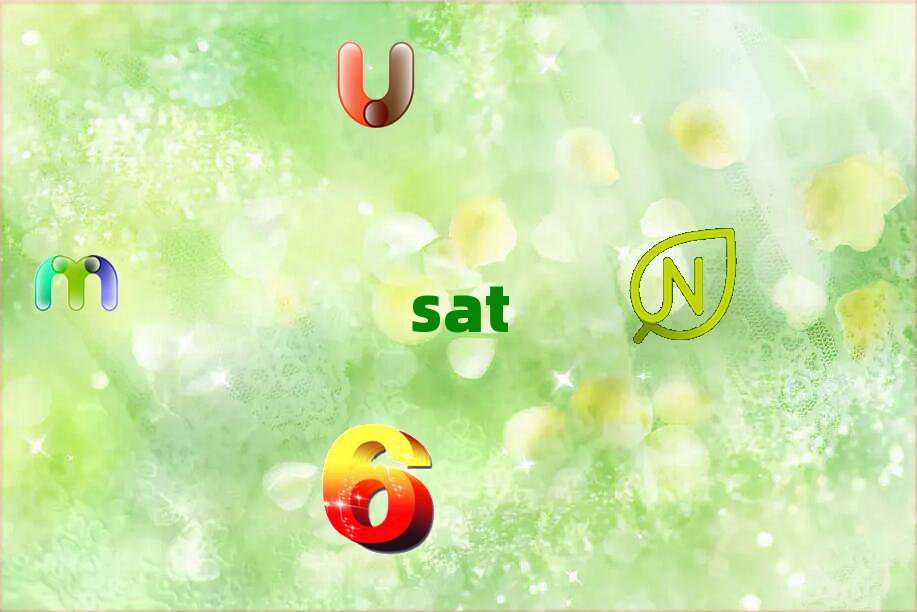 2019ѧsatʲôѧУ