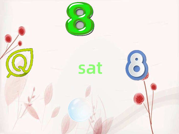 2019sat
