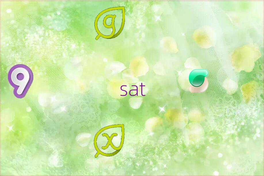 2019ѧsatĸ