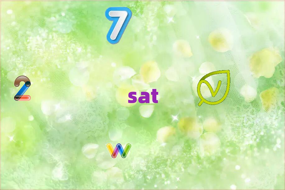 2019ѧsatȥʲôѧУ